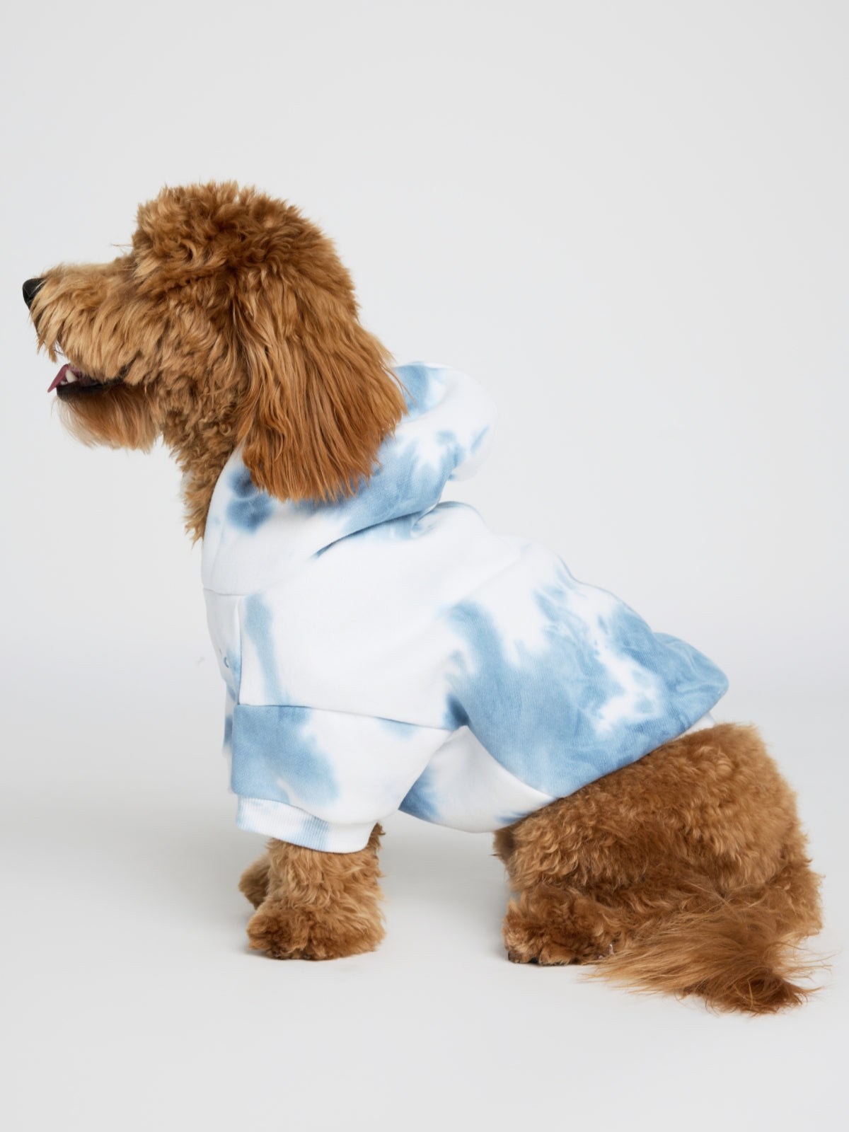 Minimalist Paw Hoodie