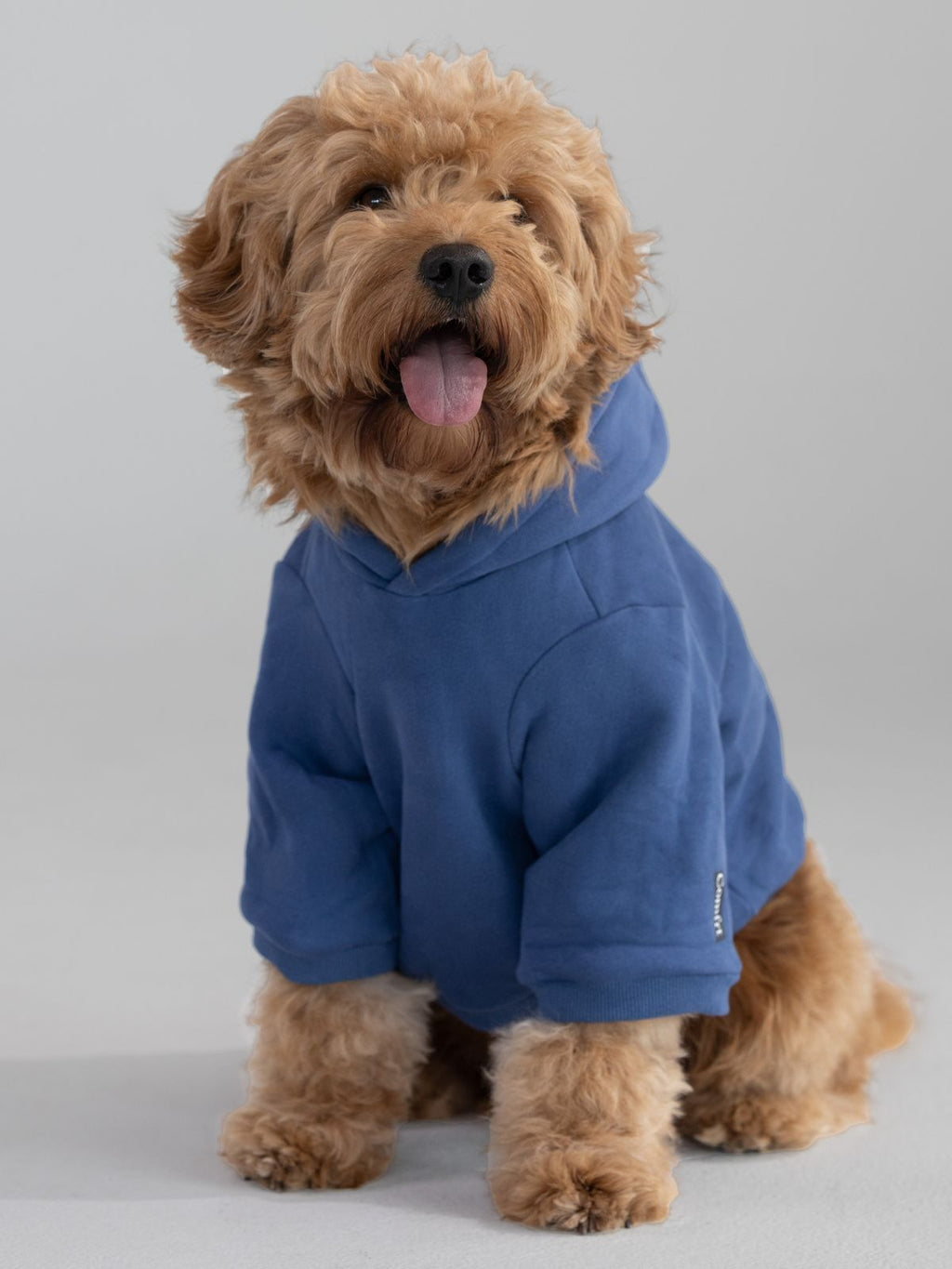 Standard Paw Hoodie